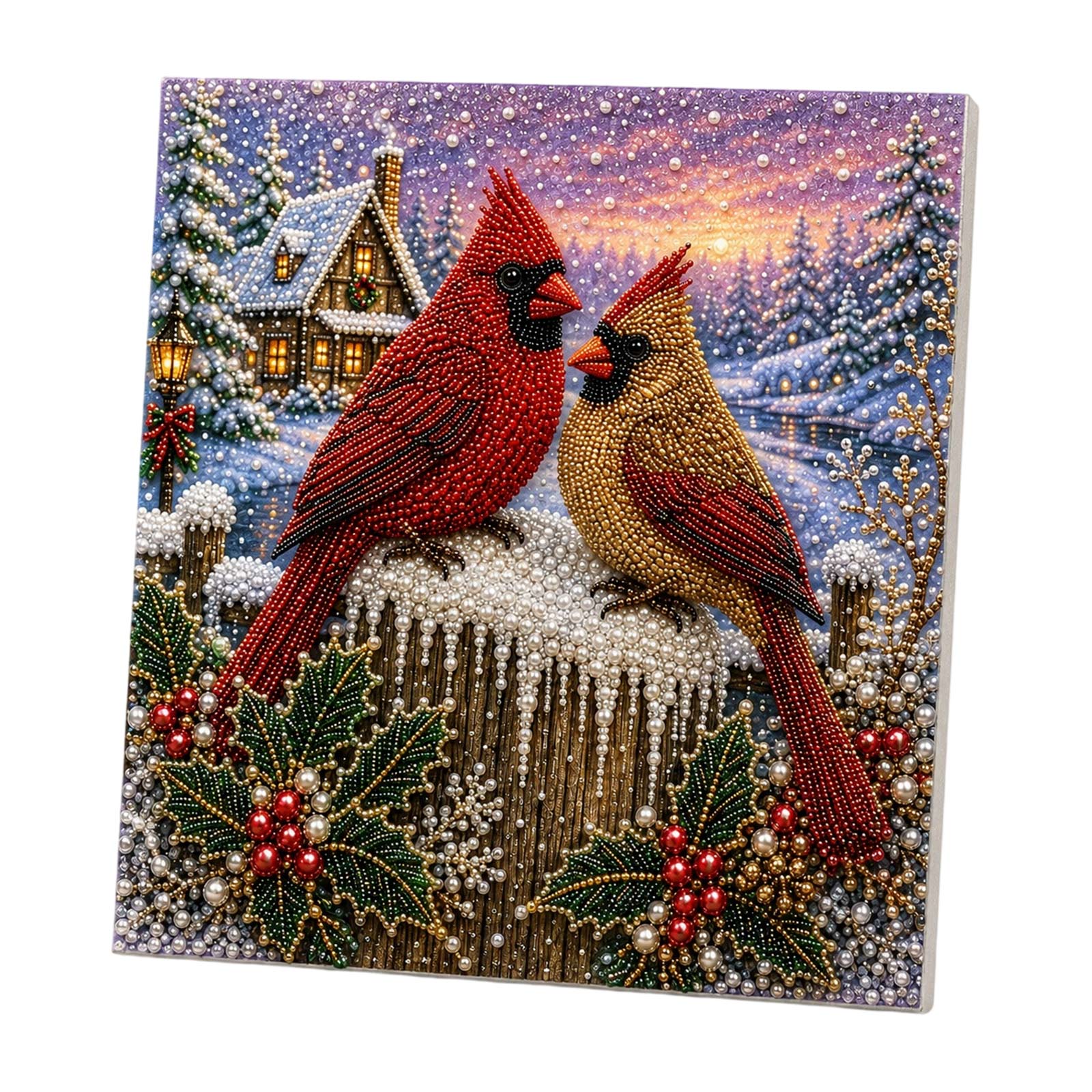 Christmas Pearl and Diamond Pa - Art Craft Earth Day 评论和价格