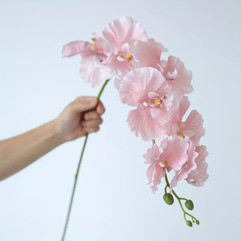 Long Branch Butterfly Orchids  - Art Craft Butterfly 评论和价格