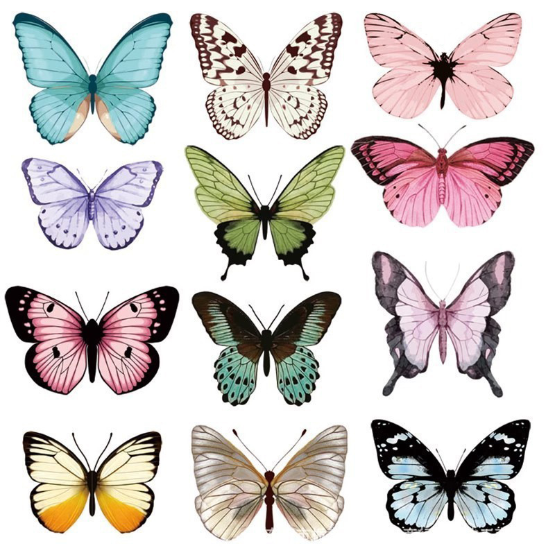 12pcs 3D Butterfly Wall Sticke - Art Craft Earth Day 评论和价格